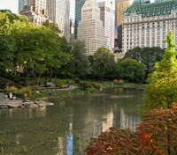 Central Park Central Park